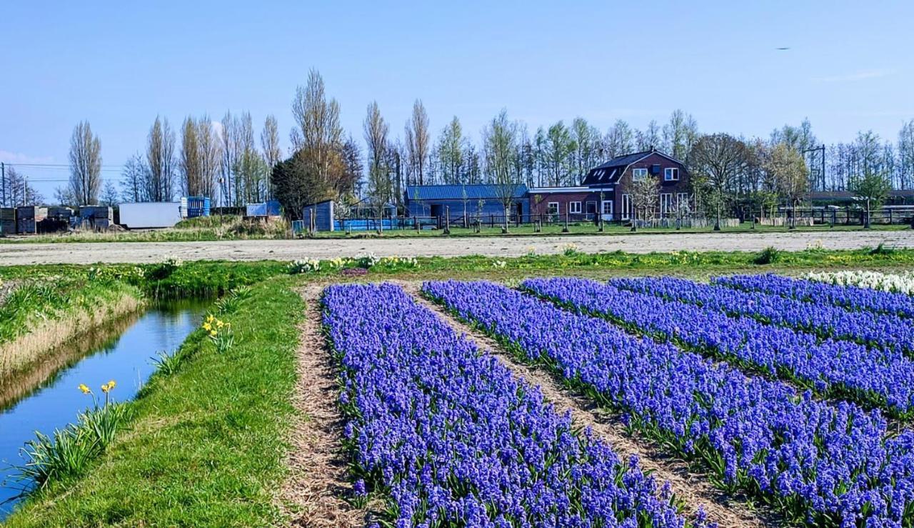 Villa Het Dijkstuk Noordwijkerhout Esterno foto