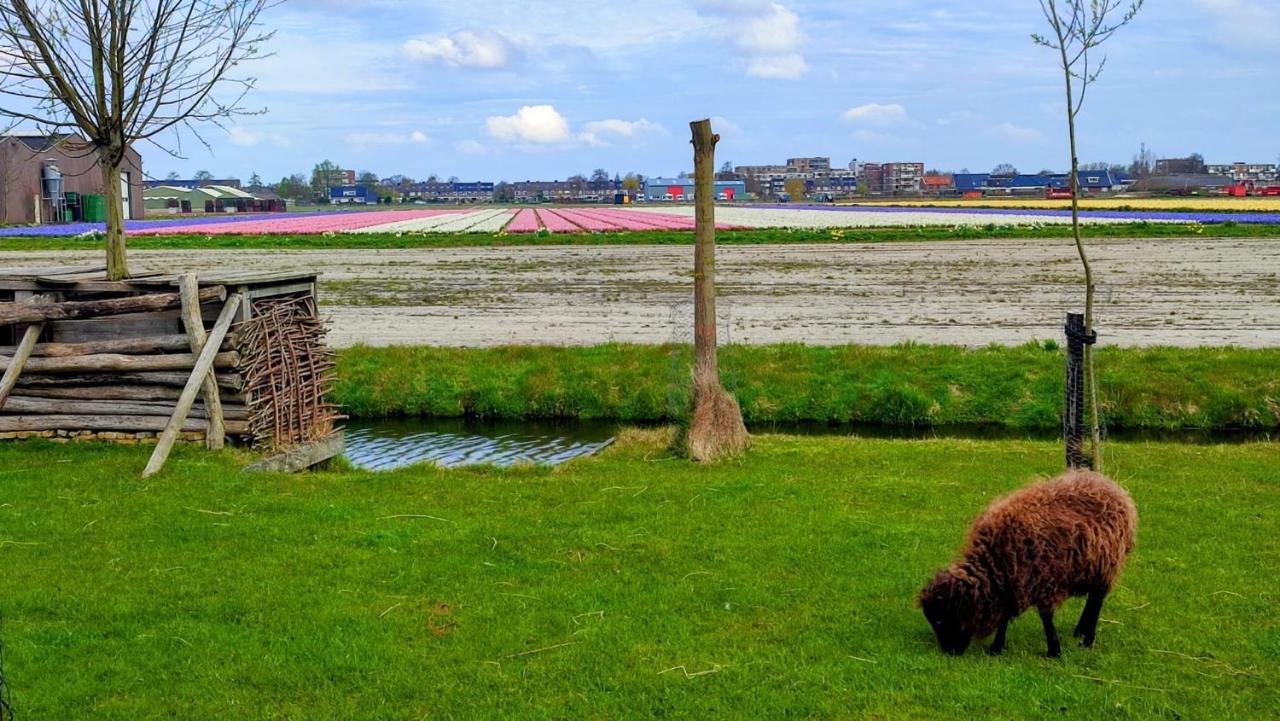 Villa Het Dijkstuk Noordwijkerhout Esterno foto