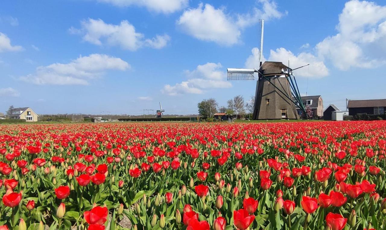 Villa Het Dijkstuk Noordwijkerhout Esterno foto